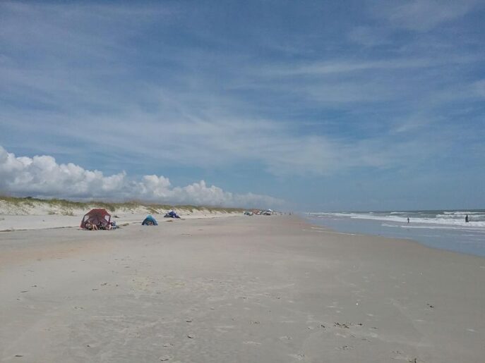 This South Carolina State Park Pairs a Swimmable Beach With Alligators, a Jetty, and a Seaside Castle