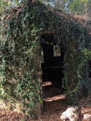 Deep in the Florida Woods Sits an Abandoned Village of Tiny Elf Houses, and Nobody Knows Why