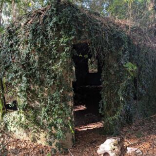 Deep in the Florida Woods Sits an Abandoned Village of Tiny Elf Houses, and Nobody Knows Why