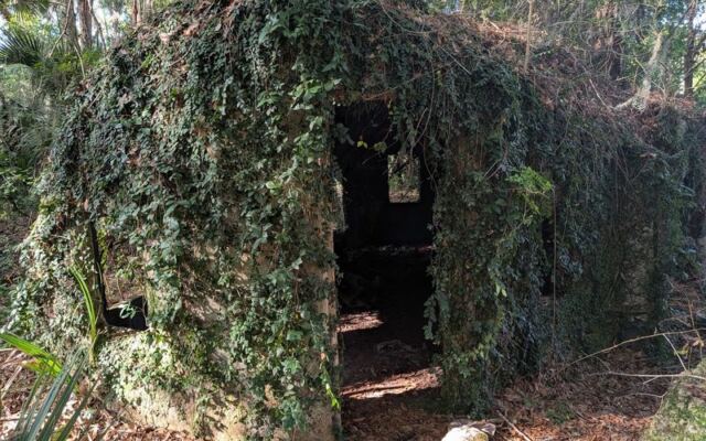 Deep in the Florida Woods Sits an Abandoned Village of Tiny Elf Houses, and Nobody Knows Why
