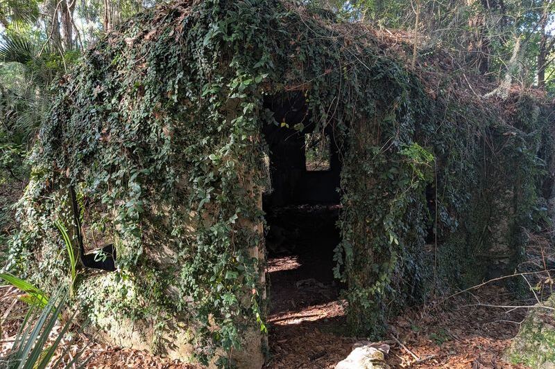 Deep in the Florida Woods Sits an Abandoned Village of Tiny Elf Houses, and Nobody Knows Why