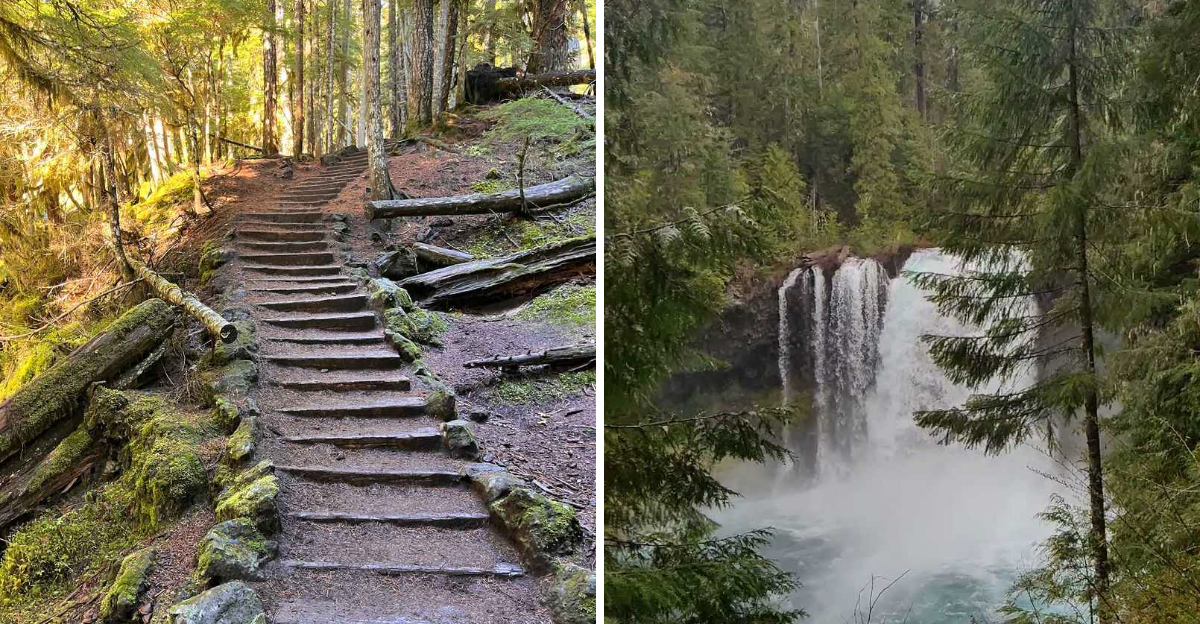 This Oregon Loop Trail Is a Hidden Gem With Two Spectacular Waterfalls