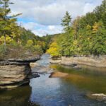 This Maryland State Park Hides a Waterfall You Reach After a Quiet Walk Through the Forest