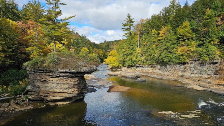 This Maryland State Park Hides a Waterfall You Reach After a Quiet Walk Through the Forest