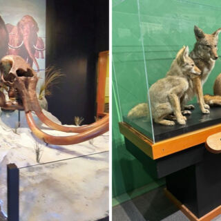 This Oregon Museum Tells a Story More Than 10,000 Years in the Making