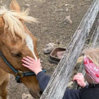 This New Jersey Stable Lets First-Timers Ride Tame Horses On A Guided Mountain Route