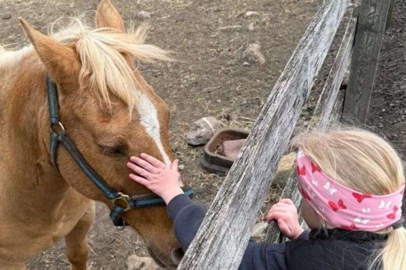 This New Jersey Stable Lets First-Timers Ride Tame Horses On A Guided Mountain Route