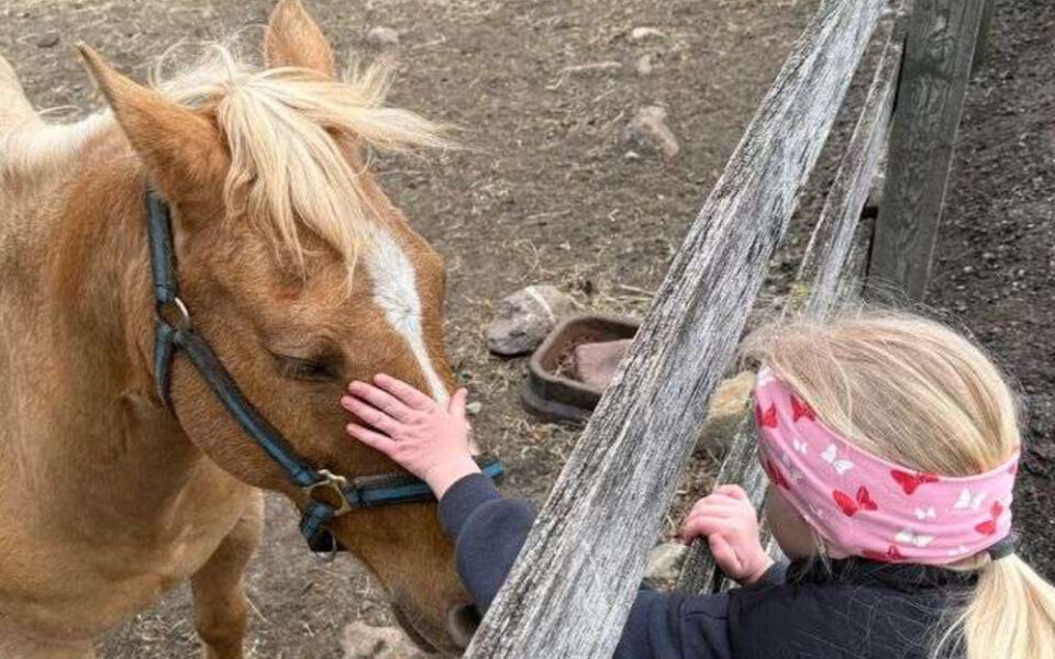 This New Jersey Stable Lets First-Timers Ride Tame Horses On A Guided Mountain Route