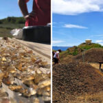 This Oregon Mine Lets You Unearth Real Sunstones and Take Them Home