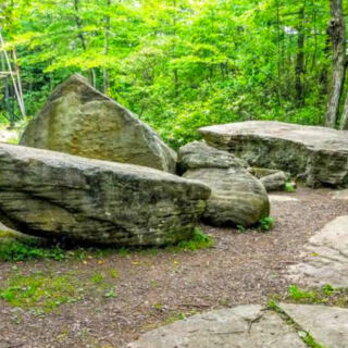 8 Pennsylvania Areas Where Timber Rattlesnakes Have Been Spotted This Summer
