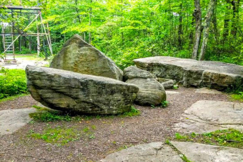 8 Pennsylvania Areas Where Timber Rattlesnakes Have Been Spotted This Summer
