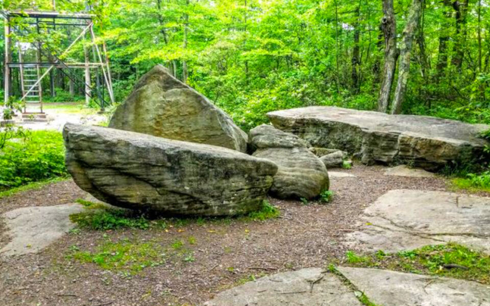 8 Pennsylvania Areas Where Timber Rattlesnakes Have Been Spotted This Summer