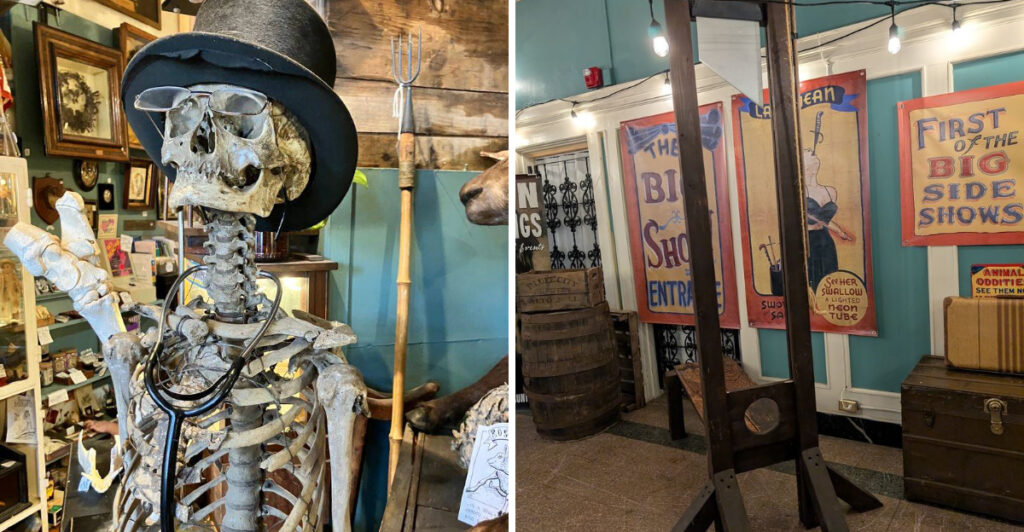 This Illinois Museum Fills 1,500 Square Feet With Quack Medicine, Watching Robots, and Historic Torture Devices