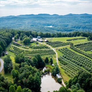 People Are Driving Clear Across North Carolina For This Mountain Orchard’s Apple Cider Donuts