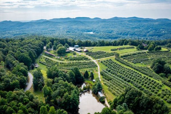 People Are Driving Clear Across North Carolina For This Mountain Orchard’s Apple Cider Donuts
