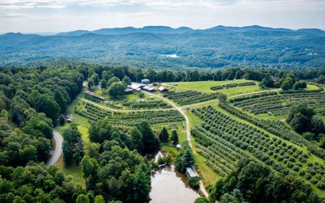 People Are Driving Clear Across North Carolina For This Mountain Orchard’s Apple Cider Donuts