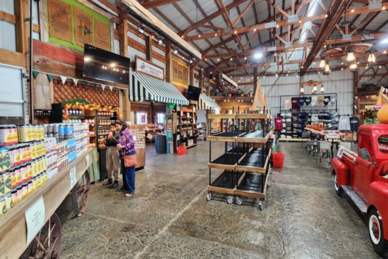 9 Illinois Cider Mills That Make Fall Taste Like Fresh Cider and Warm Doughnuts