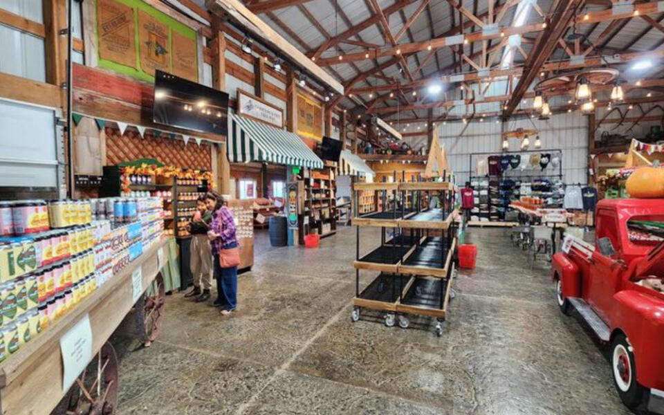 9 Illinois Cider Mills That Make Fall Taste Like Fresh Cider and Warm Doughnuts