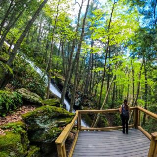 This New Jersey Waterfall Drops 85 Feet Right Beside A Wooden Stairway