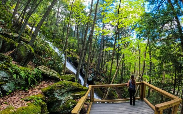 This New Jersey Waterfall Drops 85 Feet Right Beside A Wooden Stairway