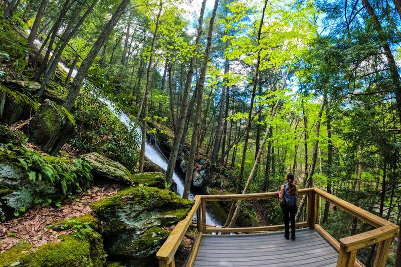 This New Jersey Waterfall Drops 85 Feet Right Beside A Wooden Stairway