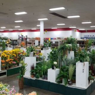 This Giant Tennessee Discount Store Lets You Fill Your Garden Without Emptying Your Wallet