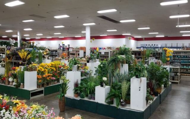 This Giant Tennessee Discount Store Lets You Fill Your Garden Without Emptying Your Wallet