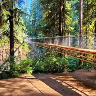 This Hidden Oregon Forest Trail Crosses A 240-Foot Bridge Suspended Over Crashing Water