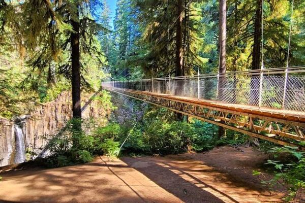 This Hidden Oregon Forest Trail Crosses A 240-Foot Bridge Suspended Over Crashing Water