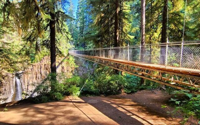 This Hidden Oregon Forest Trail Crosses A 240-Foot Bridge Suspended Over Crashing Water