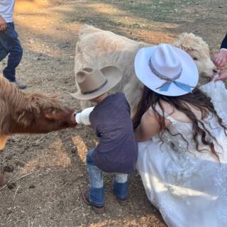 This Oregon Farm Tour Gets You Up Close With Fluffy Highland Cows Tucked Away In The Forest