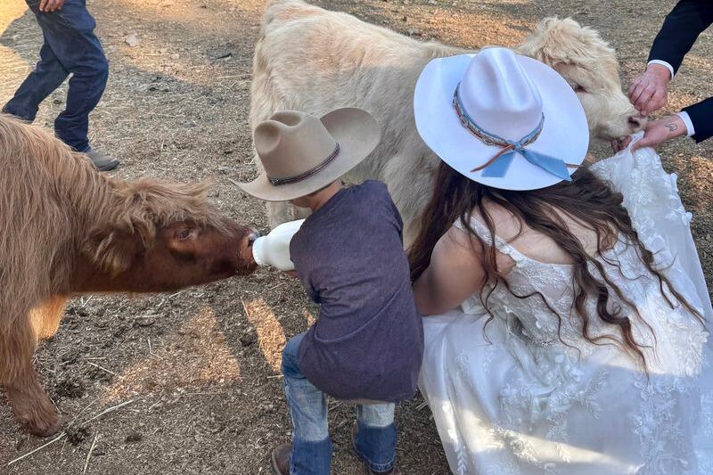 This Oregon Farm Tour Gets You Up Close With Fluffy Highland Cows Tucked Away In The Forest