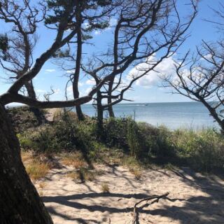 This One-Mile North Carolina Trail Hides A Secluded Beach Behind Live Oaks And Wildflowers