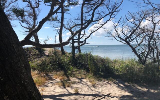 This One-Mile North Carolina Trail Hides A Secluded Beach Behind Live Oaks And Wildflowers