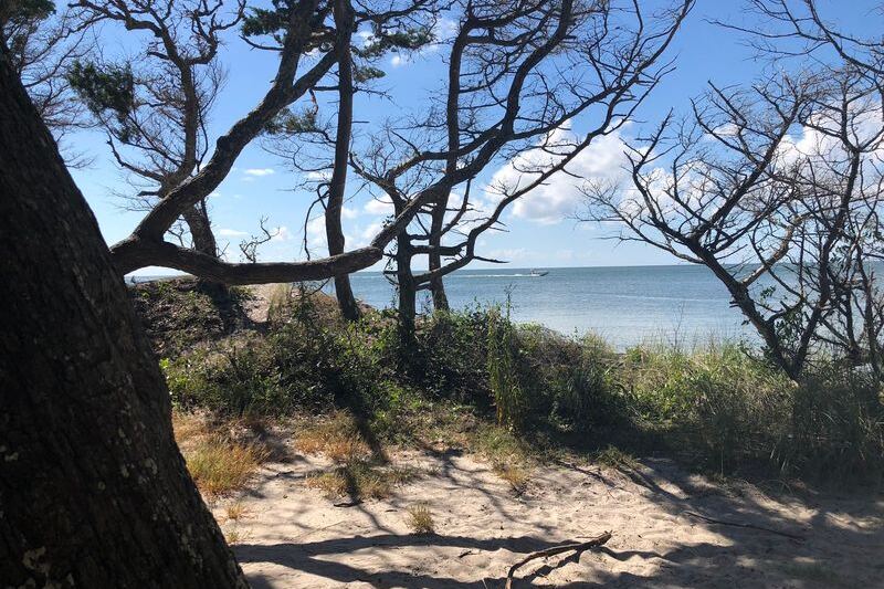 This One-Mile North Carolina Trail Hides A Secluded Beach Behind Live Oaks And Wildflowers