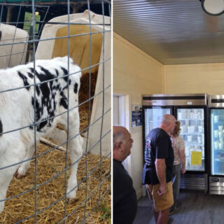 This Pennsylvania Creamery Runs on the Honor System and Sells Small-Batch Ice Cream