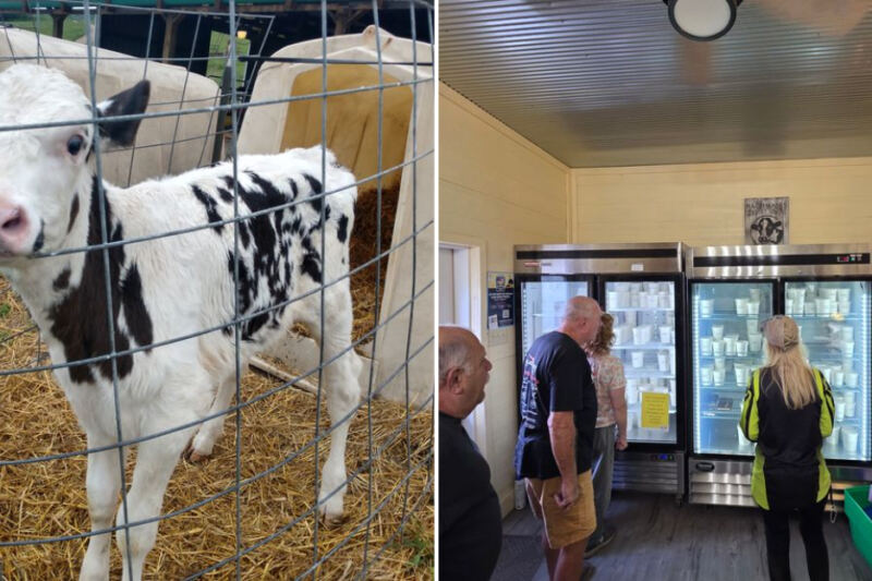This Pennsylvania Creamery Runs on the Honor System and Sells Small-Batch Ice Cream
