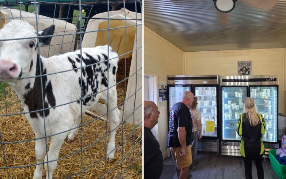 This Pennsylvania Creamery Runs on the Honor System and Sells Small-Batch Ice Cream