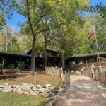 9 Affordable Tennessee Day Trips That Feel Like a Full Weekend Away for Under $50