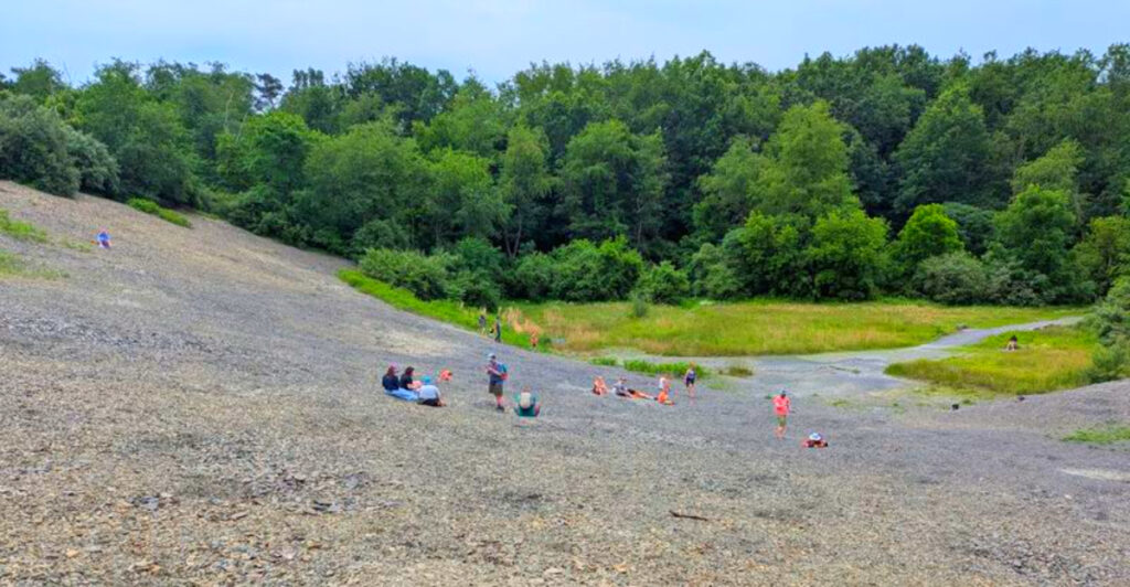 This Free Pennsylvania Preserve Lets You Dig Up 395-Million-Year-Old Fossils and Keep Them