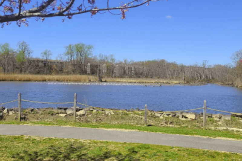 This Northern Maryland Waterfront Park Packs a Playground, Kayaking, Fishing, and River Views Into One Easy Stop