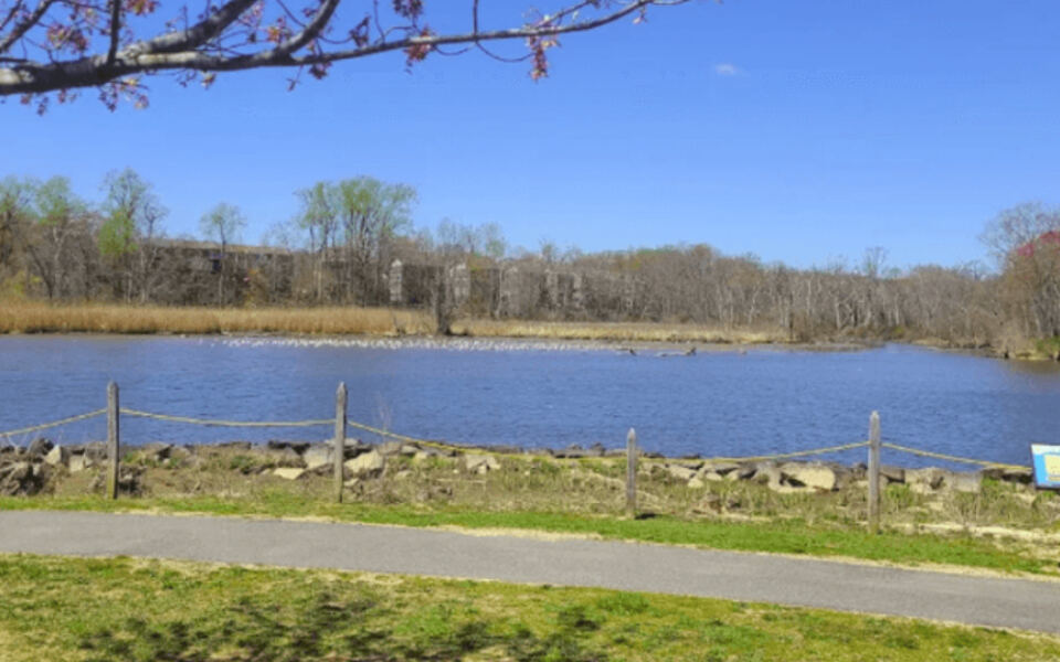 This Northern Maryland Waterfront Park Packs a Playground, Kayaking, Fishing, and River Views Into One Easy Stop