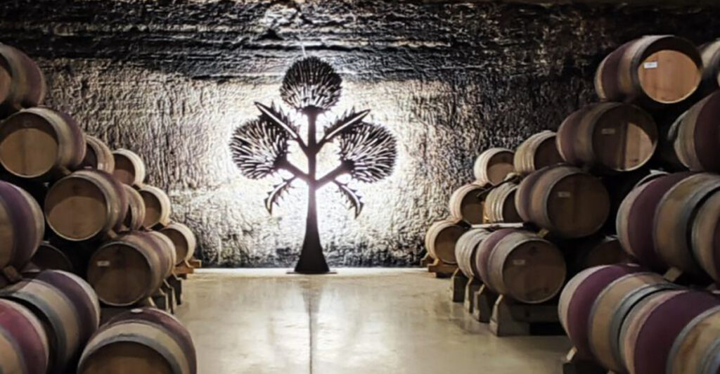 15 Spanish Vineyards With Unforgettable Wines and Stunning Views