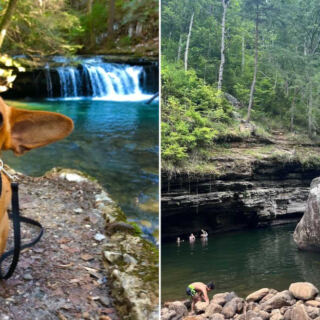 This Under-the-Radar Tennessee Swimming Hole Hides a Dive-Off Rock Locals Have Guarded for Generations