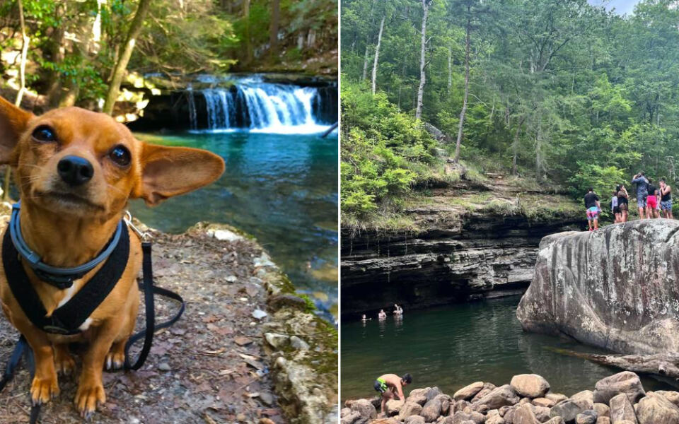 This Under-the-Radar Tennessee Swimming Hole Hides a Dive-Off Rock Locals Have Guarded for Generations
