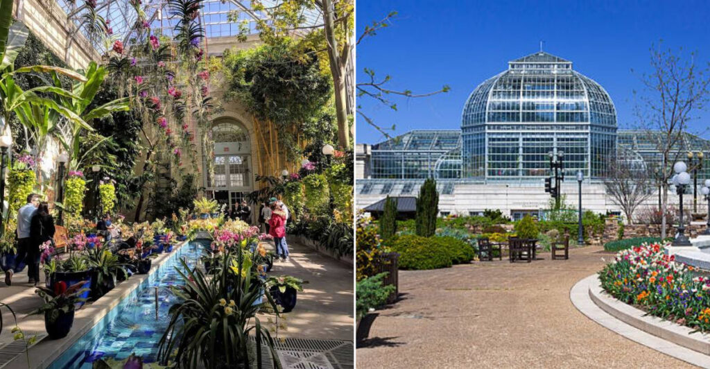 This Free Washington, D.C. Garden Feels Like Several Continents Under Glass