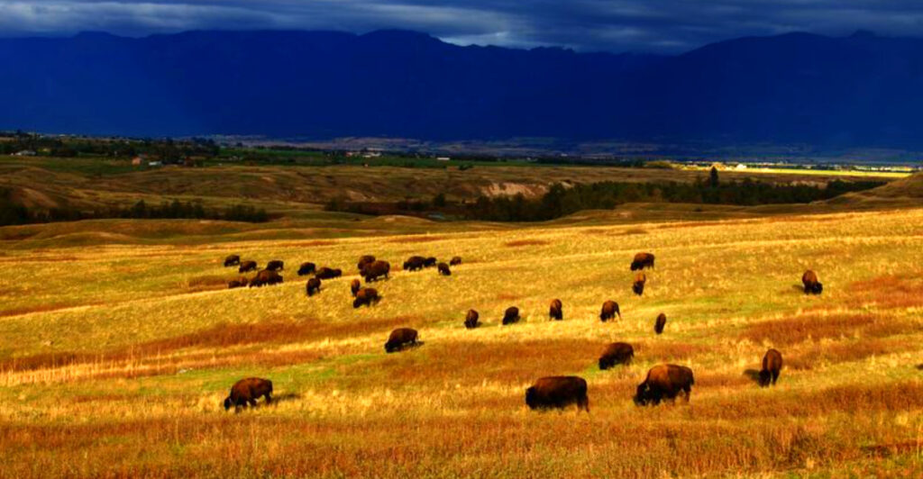 11 Montana Wildlife Refuges Worth Visiting