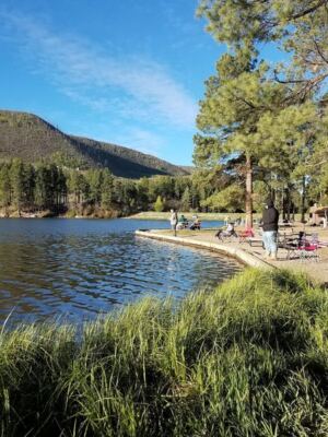 This New Mexico Campground Hides a Spring-Fed Swimming Hole Under Cottonwood Shade