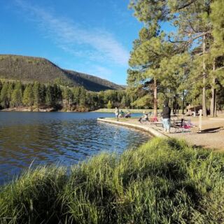This New Mexico Campground Hides a Spring-Fed Swimming Hole Under Cottonwood Shade