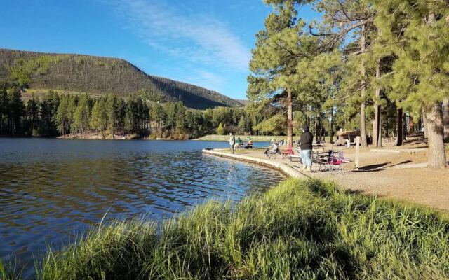 This New Mexico Campground Hides a Spring-Fed Swimming Hole Under Cottonwood Shade